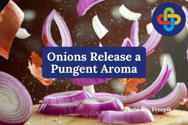 3 Reasons Why Onions Release a Pungent Aroma
